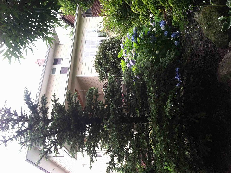 2nd image of 7503 18th Ave NE