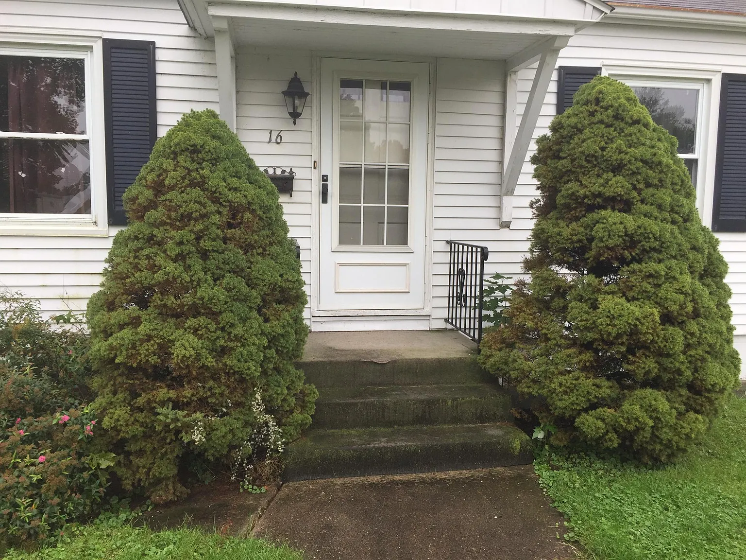 16 Waverly Dr photo 1