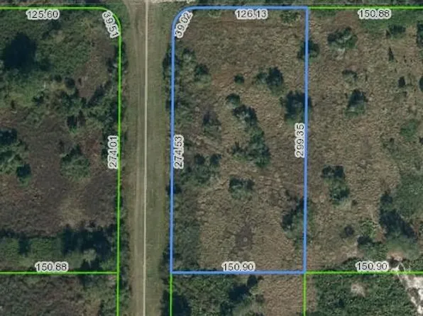 2239 W Tarkenton Rd, Avon Park, FL 33825
