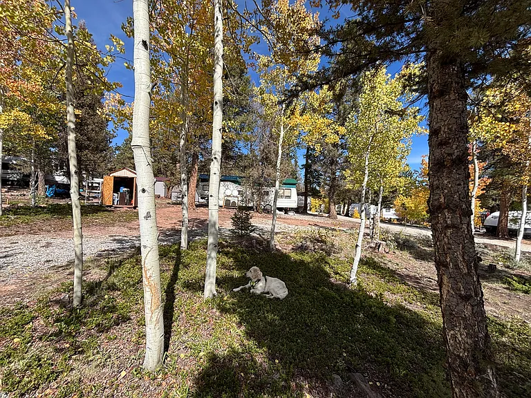 251 Pullman Loop #35 — Photo 7