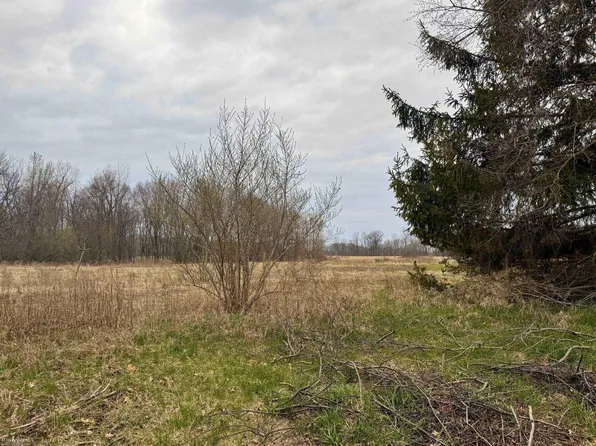 V/l C 1 Cork Rd, Morrice, MI 48857