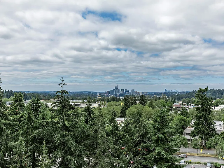 The Village at Overlake Station — Photo 7
