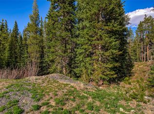 163 Lakeview Dr, Breckenridge, CO 80424
