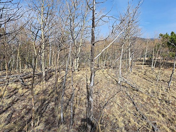 4th image of 93 Wyandot Way