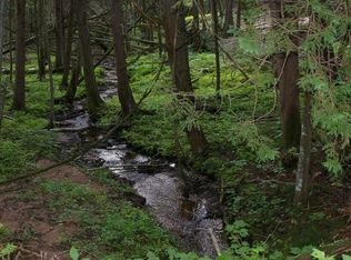 Saint Juda Ln, Pound, WI 54161