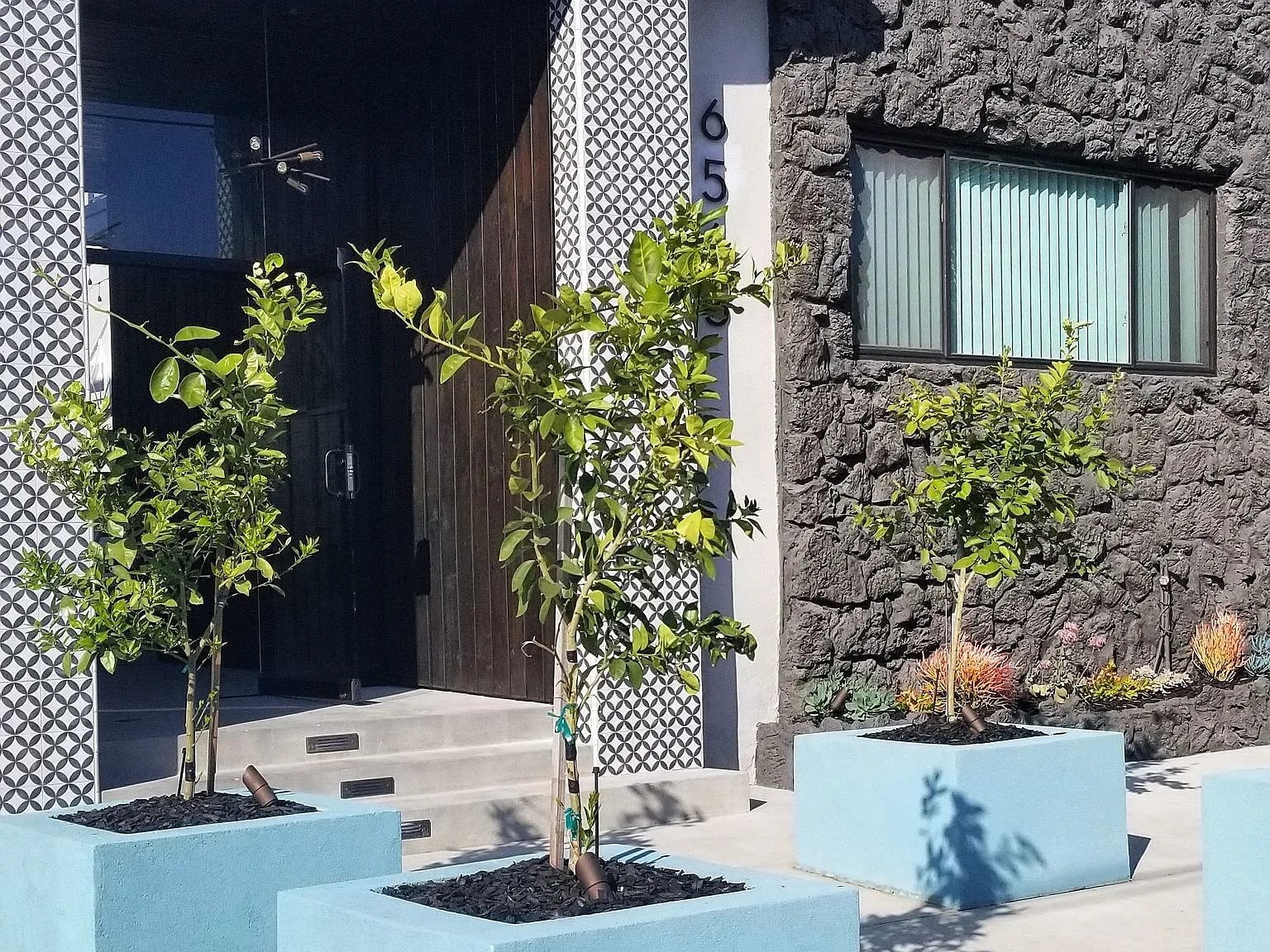 Bleu Apartments — Photo 2