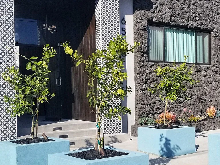 Bleu Apartments — Photo 2