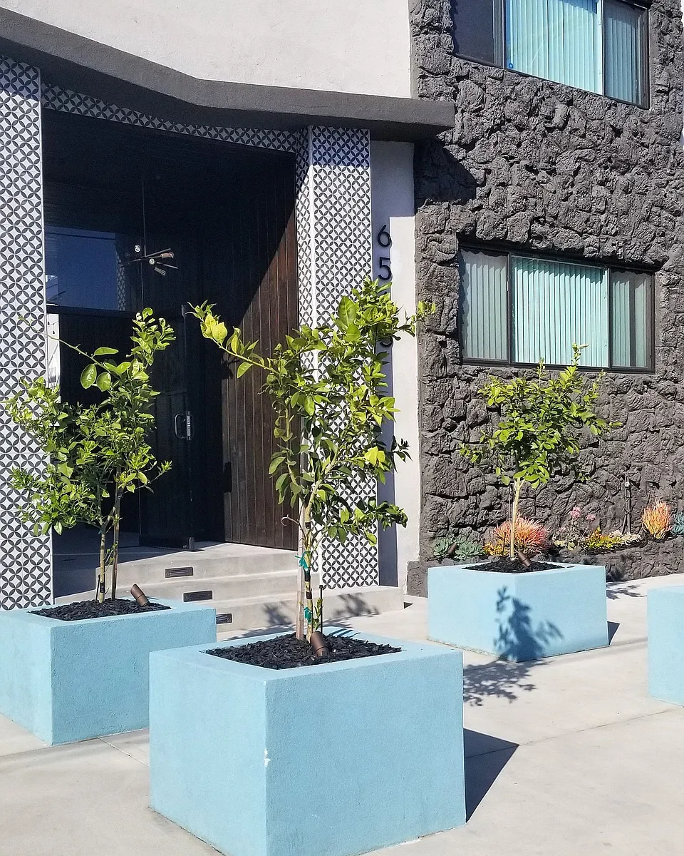 Building Photo - Bleu Apartments