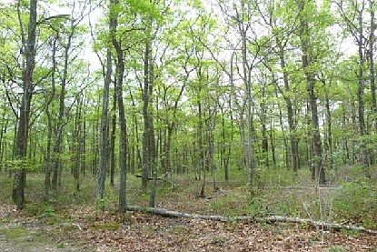 2nd image of 120 Great Hill Rd