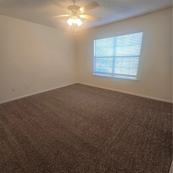 9852 Whitefield Ave #B — Photo 5