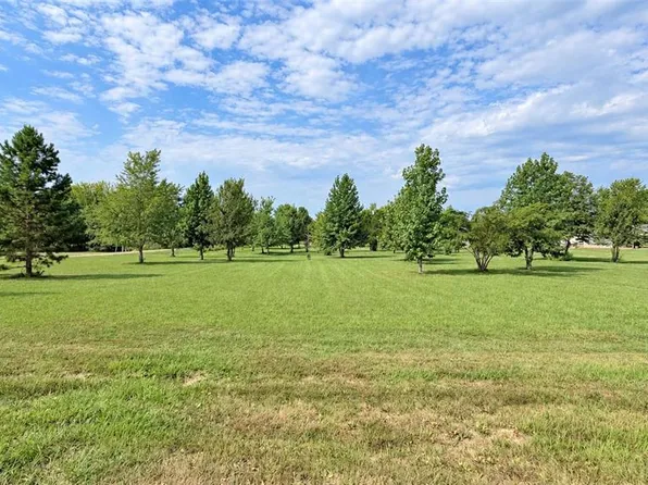 33 & 34 Madison St #334, Fredericktown, MO 63645