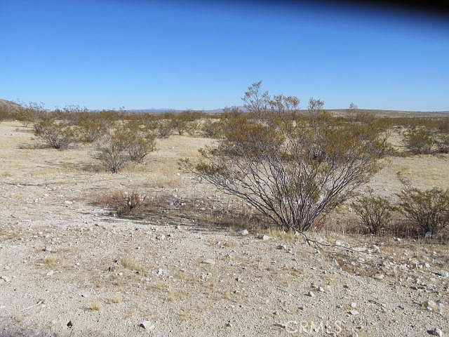 2nd image of 1001 Neuralia Rd