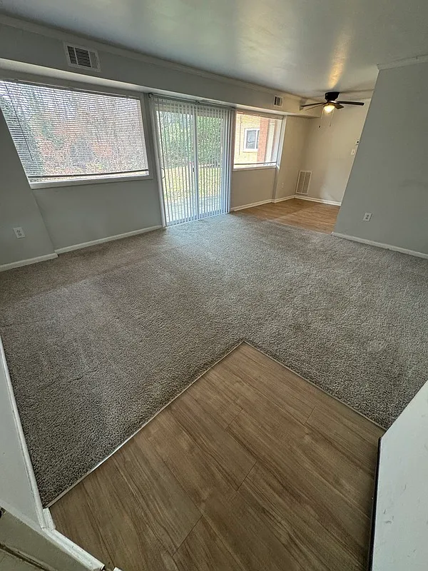 2 bed, 1.0 bath, $1,445 — Photo 2