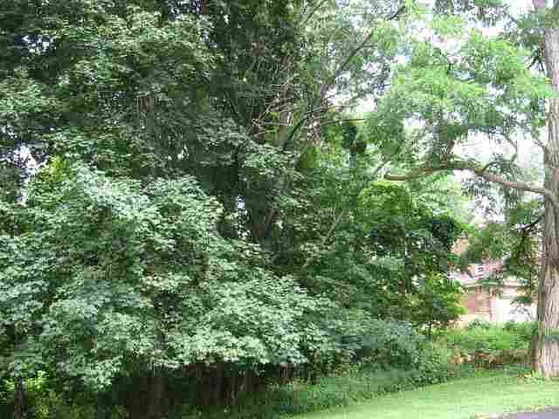 2nd image of 00 CRESTWOOD Lane