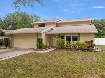 15906 Country Pl, Tampa, FL, 33624