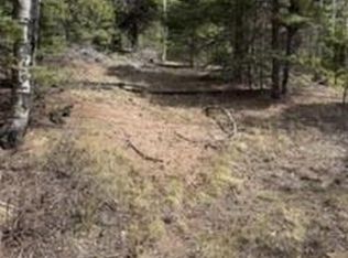 Lot 2711 Sleger Road LOT 2711, Fort Garland, CO 81133
