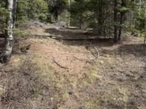 Lot 2711 Sleger Road LOT 2711, Fort Garland, CO 81133