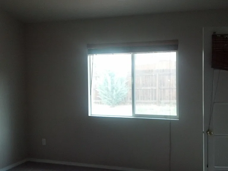 7432 Prythania Park Dr — Photo 11
