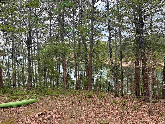 5th image of 441 Cherokee Cir