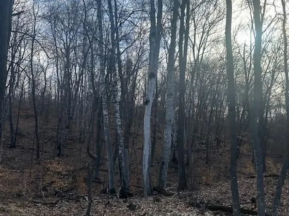 L3b2 Wilderness Pkwy, Crosslake, MN 56442