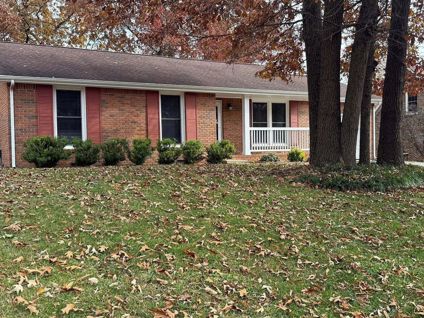 Charming 3 Bedroom, 1.5 Bath Ranch-Style Home — Photo 2