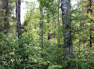 Xxxx Raven Ln, Ely, MN 55731