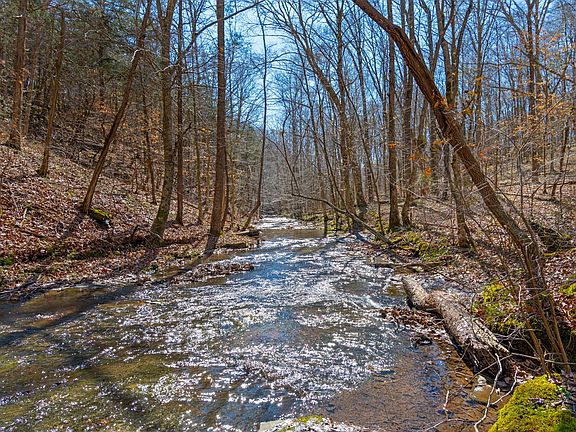 2nd image of 801 Collier Bend Rd