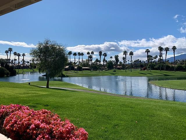 Amazing Backyard Vie;w