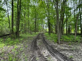 Reeves Rd, Riley, MI 48041