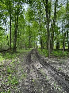 Reeves Rd, Riley, MI, 48041