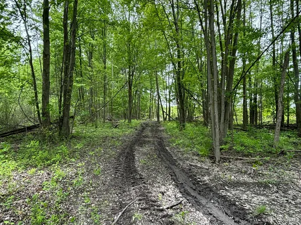 Reeves Rd, Riley, MI 48041