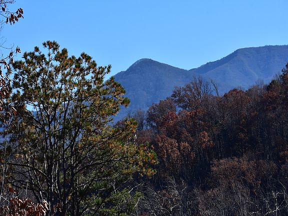 4th image of 556 Edgewood Dr Lot 0394