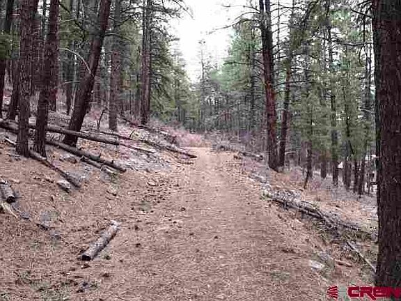 3rd image of 98 Fawn Dr