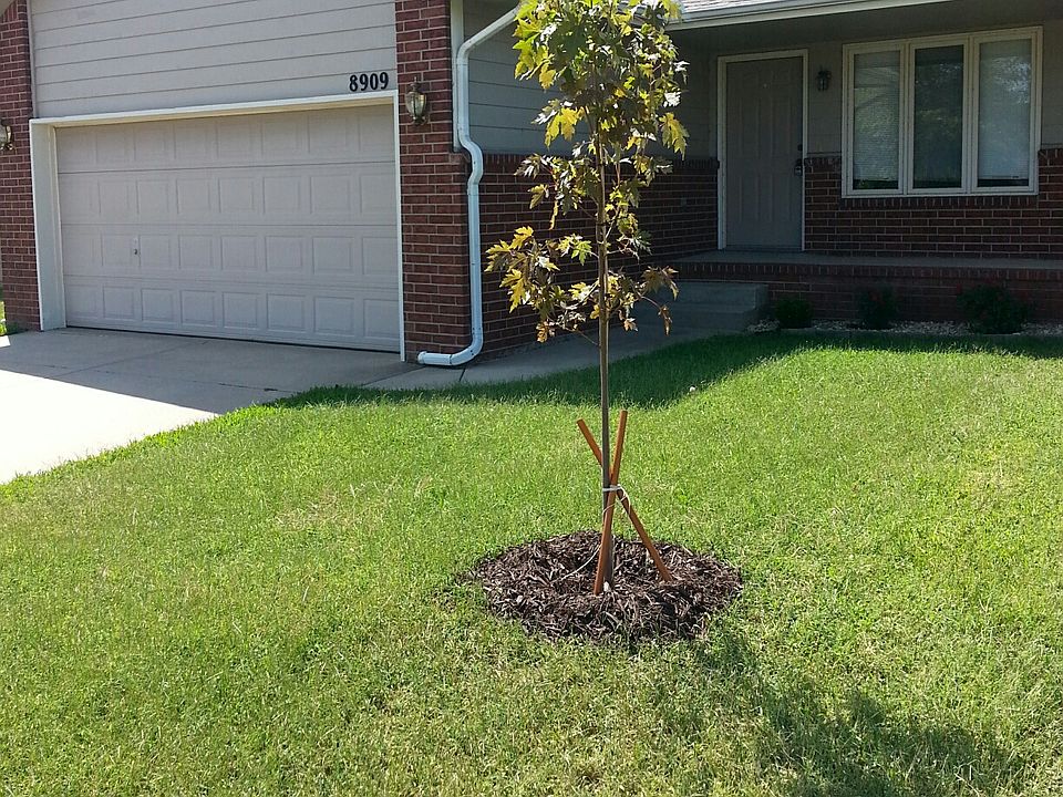 20140909_122601_Resized_09102014