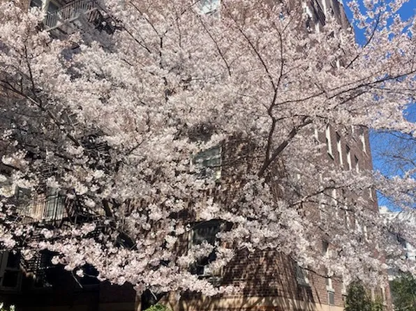 48-41 43rd Street image 12 of 16