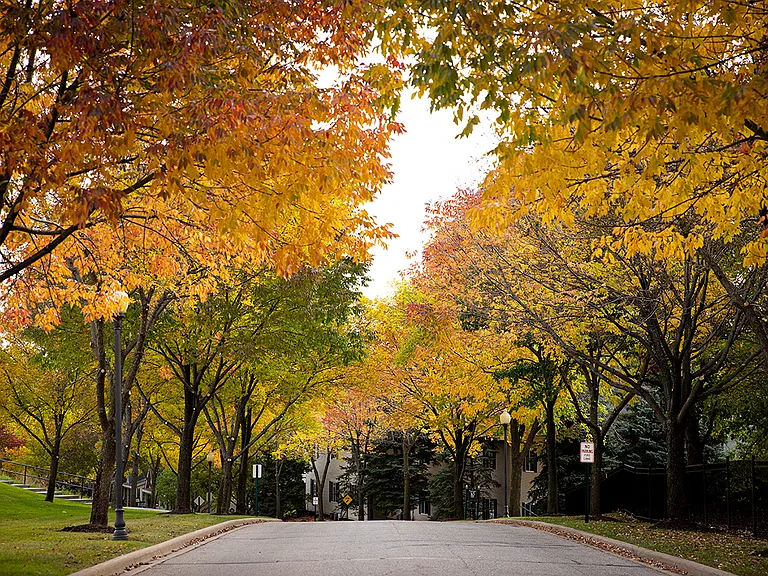 Beautiful fall foliage
