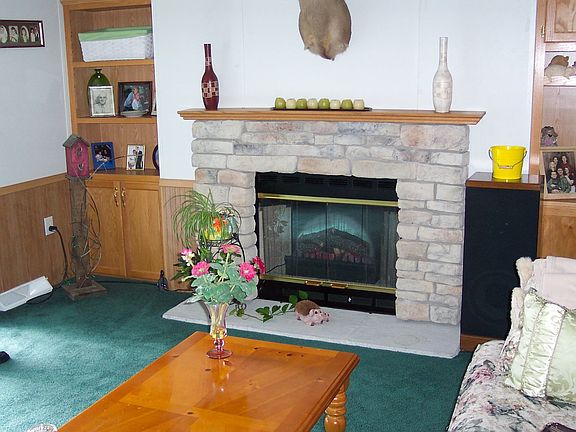 Working Fireplace