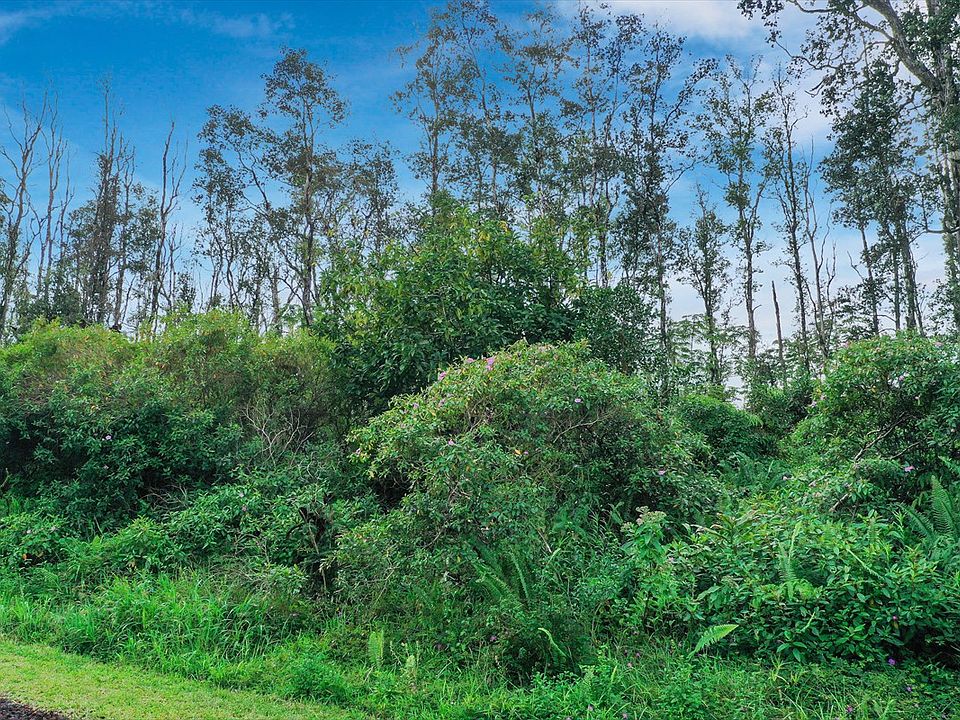 2nd image of Gardenia Dr