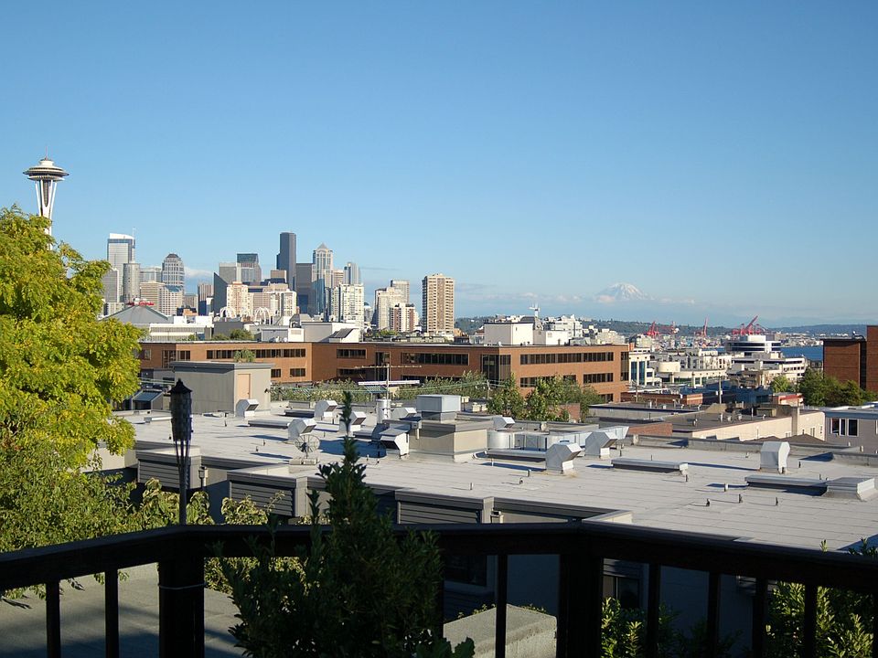 View from deck