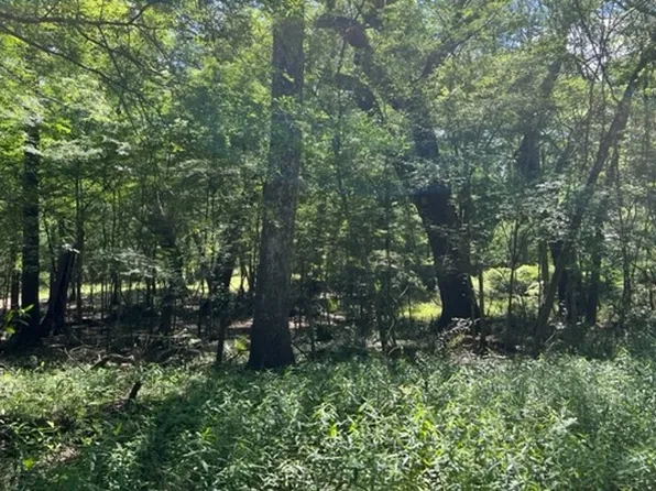 0 246th Trl, O'Brien, FL 32071