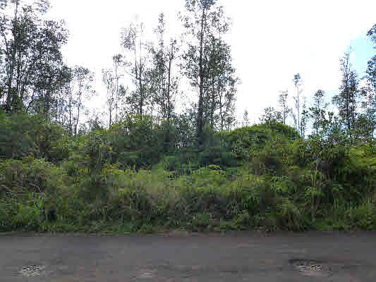 2nd image of 37th Ave Lot 43
