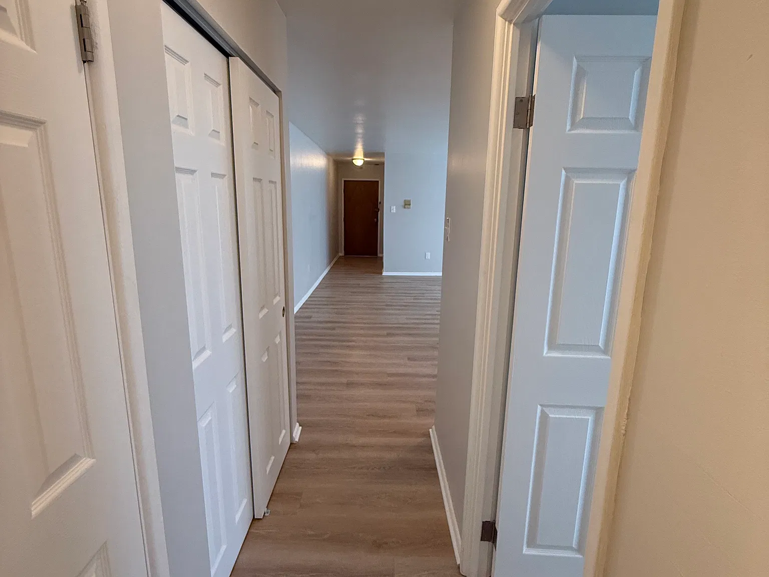 1 bed, 800 sqft, $1,250 — Photo 2