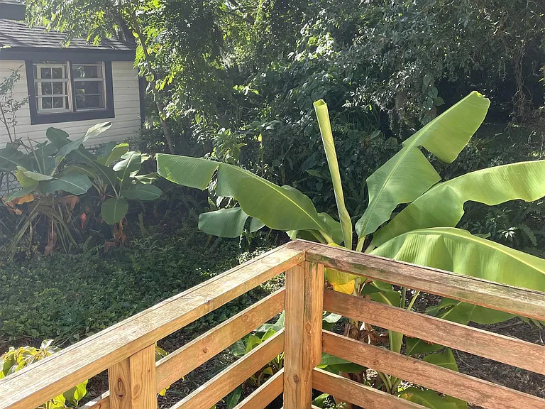 9 Blanche Ln — Photo 15