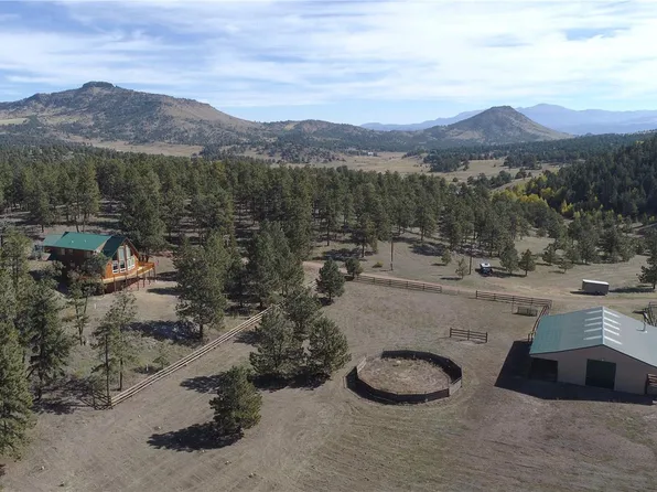 1321 Bristlecone Road, Guffey, CO 80820