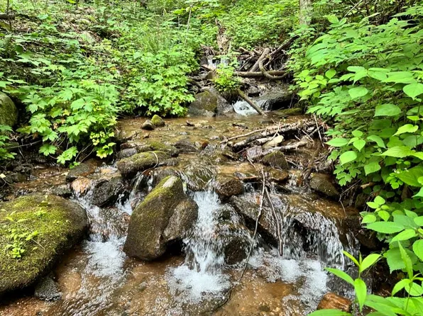 0 Mountain Brook Rd, Sylva, NC 28779