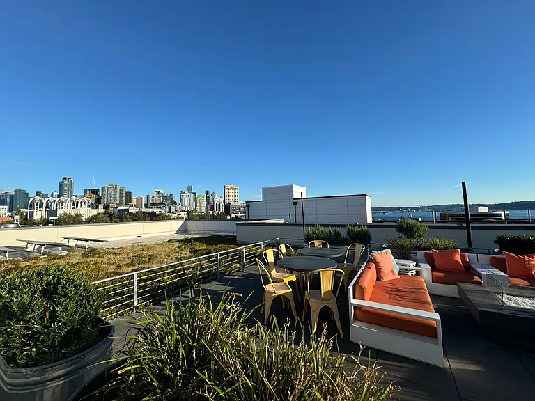 Vivid Queen Anne — Photo 13