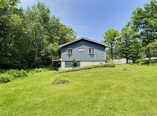 8027 Healy Rd, Franklinville, NY 14737