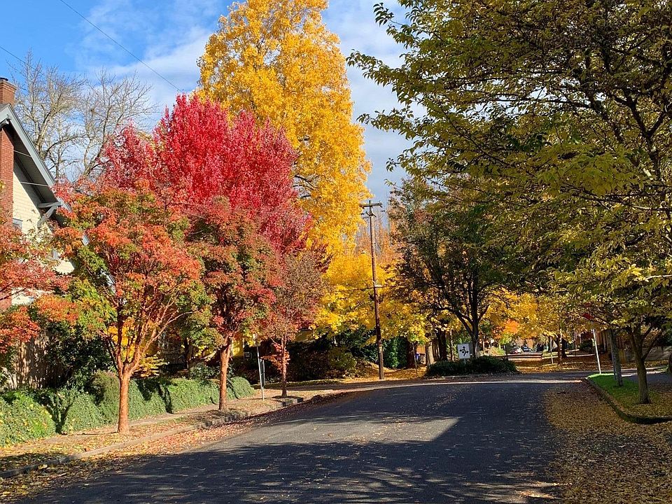 Take a lovely fall walk!