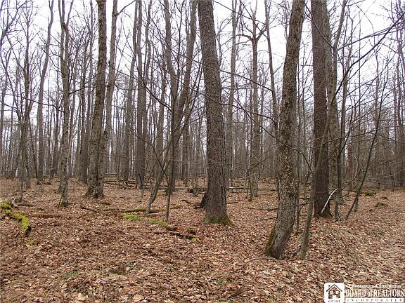 3rd image of Homestead Rd