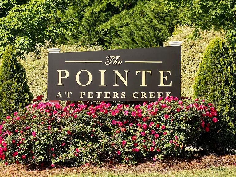 The Pointe at Peters Creek — Photo 12